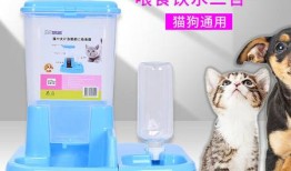 宠物喂食器连接不上网络