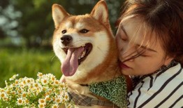 养宠物的100个趣事有哪些