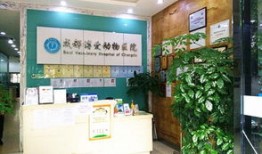 永年宠物医院哪家最好