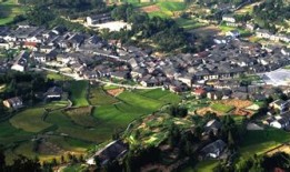 岳阳到张谷英客车时间表