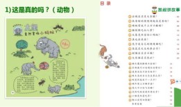 有趣的宠物视频