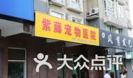 三宠动物医院电话