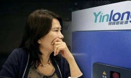 银隆汽车现状