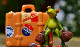 探索幼儿世界的奇妙之旅，幼儿百科知识点大全