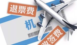 旅游保险能退吗
