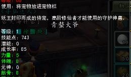 寻仙金刚带什么宠物最好