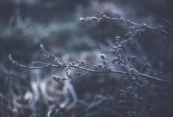 一人之下，胡图大师的隐世智慧与生活哲学