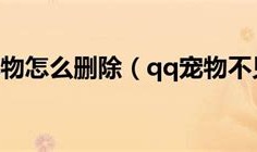 qq宠物卸载程序在哪里