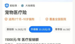美国宠物保险
