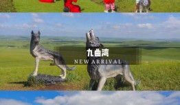狼图腾文化传播有限公司