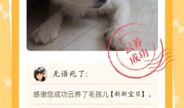 云养宠物店