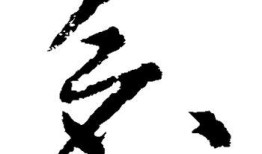 宠物仓库怎么分类