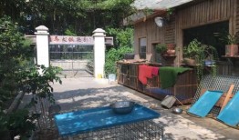 无锡宠物培训学校