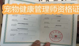 宠物健康护理员培训机构