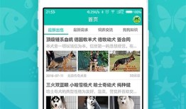 购买宠物应该找什么部门