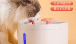 宠物定时出水什么意思