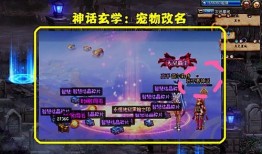 dnf宠物名字怎么消掉