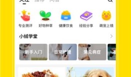 体育中考120分和100分的区别