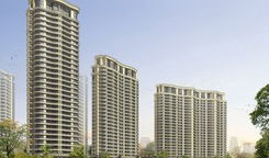 杭州楼市最新动态新闻