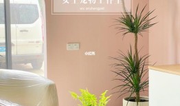 植物宠物店进货渠道
