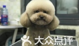 宠爱一生宠物店