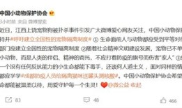 江西九江狗狗救人