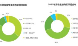 宠物经济投稿