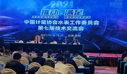 尼尔森汽车美容