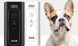 诗奈尔干洗怎么样