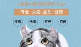 郑州宠物医院哪个好