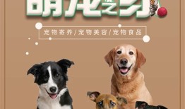 迪拜贵族宠物