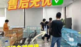 广州宠物培训学校