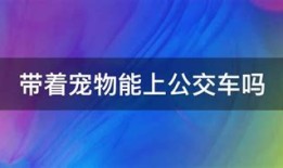 宜昌公交车能用手机支付吗