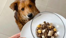 帮我弄一个宠物粮食