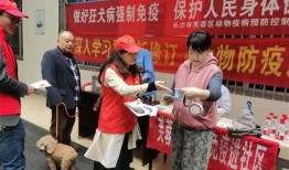 宠物疫苗防疫证明怎么开