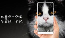 宠物摄像头哪个牌子好用