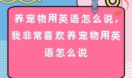 饲养宠物英语怎么说