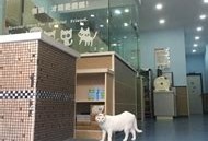 莆田市哪里有鸟类宠物医院