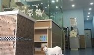 莆田市哪里有鸟类宠物医院