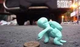 梦见养老虎当宠物