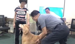 福州宠物赠送