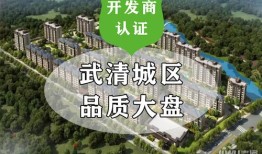武清首套房贷首付多少