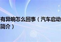 汽车冷车启动有异响怎么回事