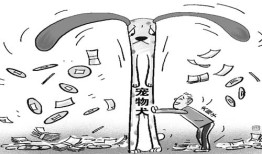 宠物买卖纠纷及宠物生病处理