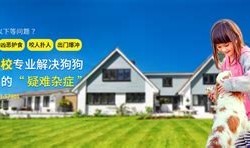 北京训犬师培训学校
