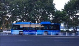 青岛到沂南汽车司机电话