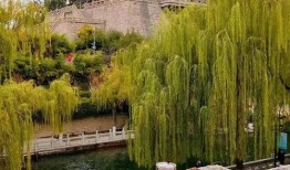 春节济南旅游攻略
