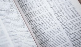 探索百科知识，图片的力量与魅力
