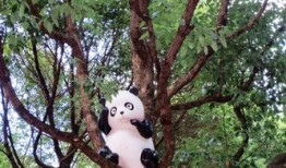 天目湖南山竹海电话
