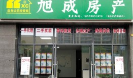 公司背景